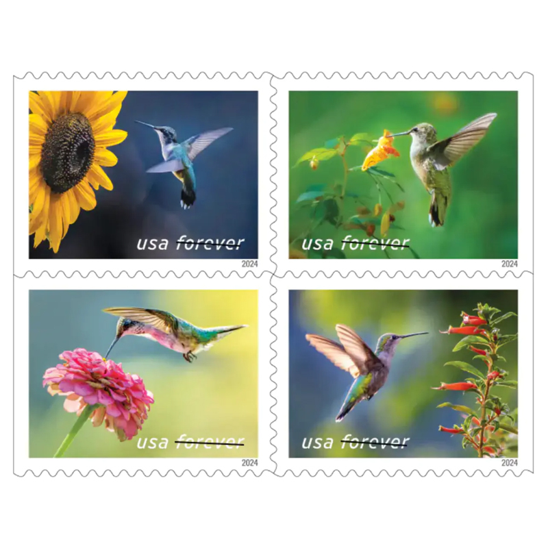 2024 USPS Garden Delights Forever Stamps - Kestreli