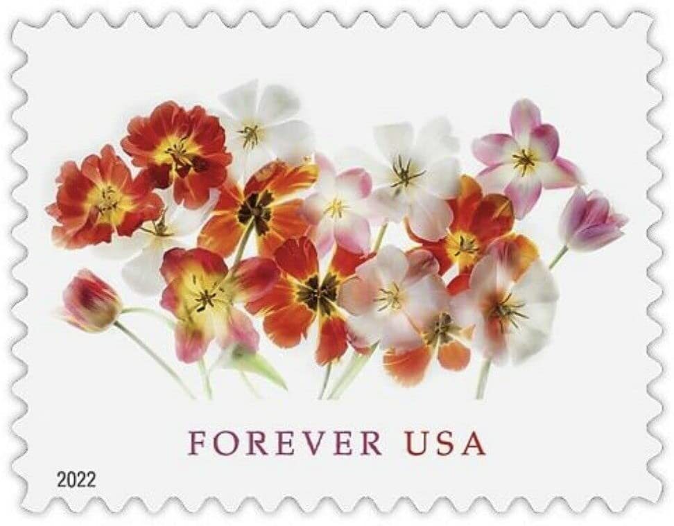 (2022) USPS Tulips Forever First Class Postage Stamps - Kestreli