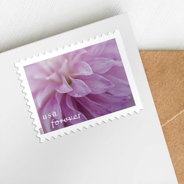 2025 Dahlias Stamps Book of 20 - Kestreli