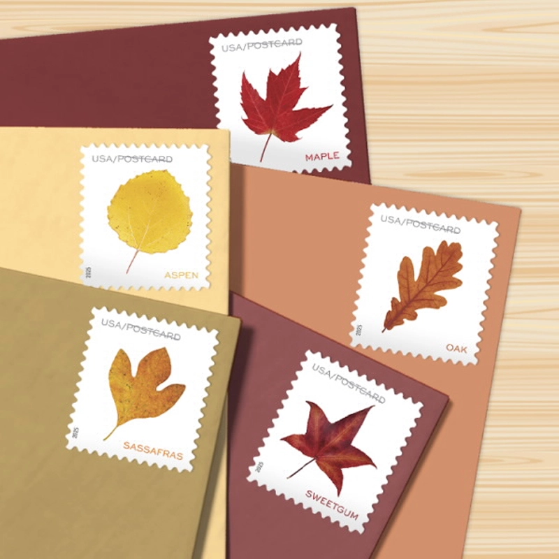 2025 Vibrant Leaves Postcard Stamps, 1 Roll of 100 Pcs Postcard |Multiple Stamp Designs andFormats - Kestreli