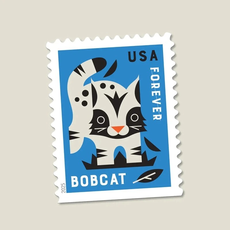 2025 Baby Wild Animals Stamps Booklet of 20 - Kestreli