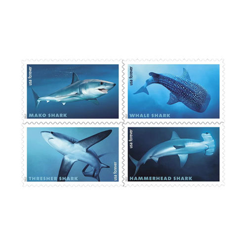 2017 USPS Shark First Class Forever Postage Stamps - Kestreli