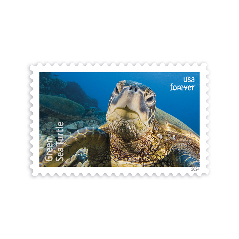 2024 Protect Sea Turtles Stamps - Kestreli