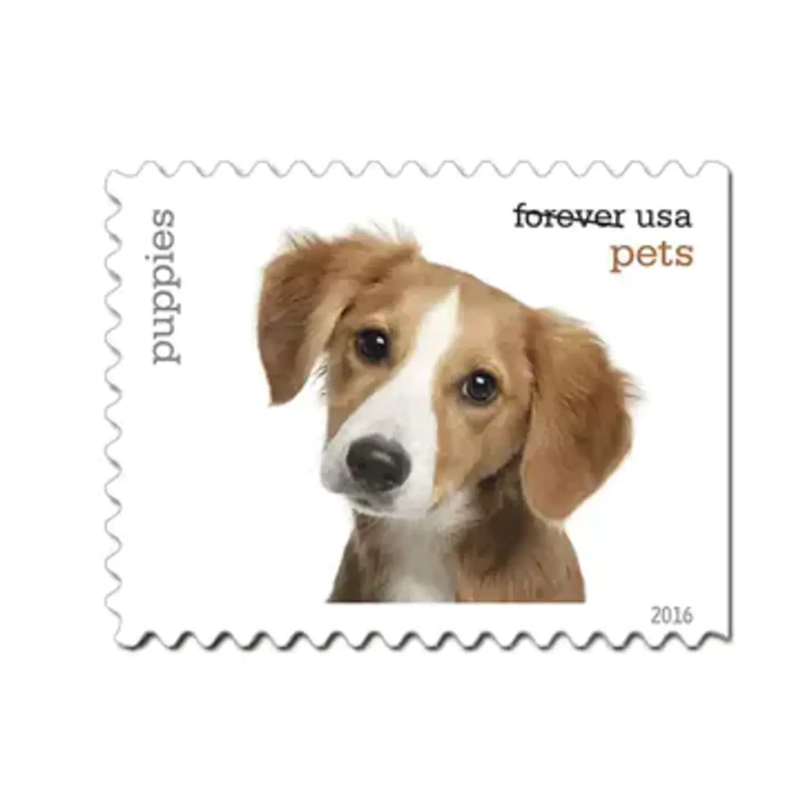 (2016) USPS Pets Stamps First-Class Mail Forever - Kestreli