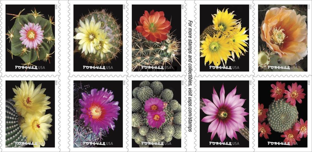 (2019) USPS Cactus Flowers Forever First Class Postage Stamps - Kestreli