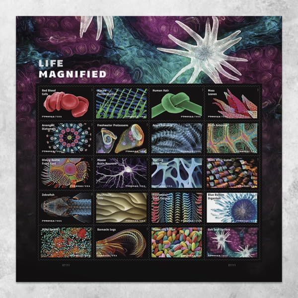 2023 Life Magnified Forever Postage Stamps Explores Life on Earth - Kestreli