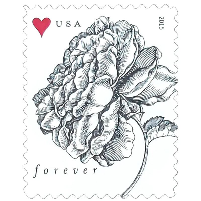 2015 Vintage Rose Pane Wedding Forever Postage Stamps - Kestreli