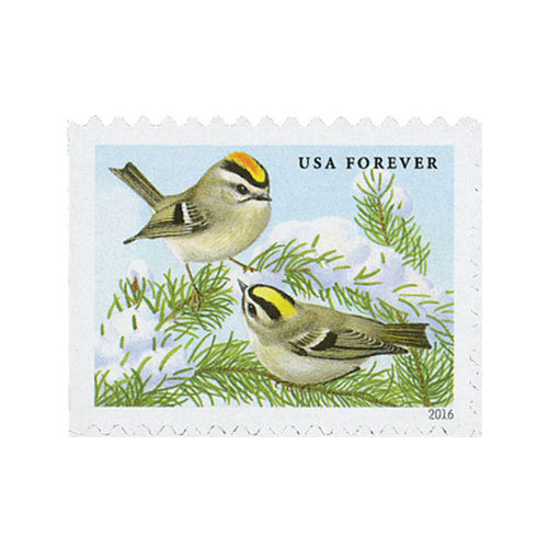 2016 USPS Songbirds in Snow Forever First Class Postage Stamps - Kestreli