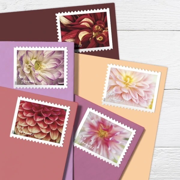 2025 Dahlias Stamps Book of 20 - Kestreli