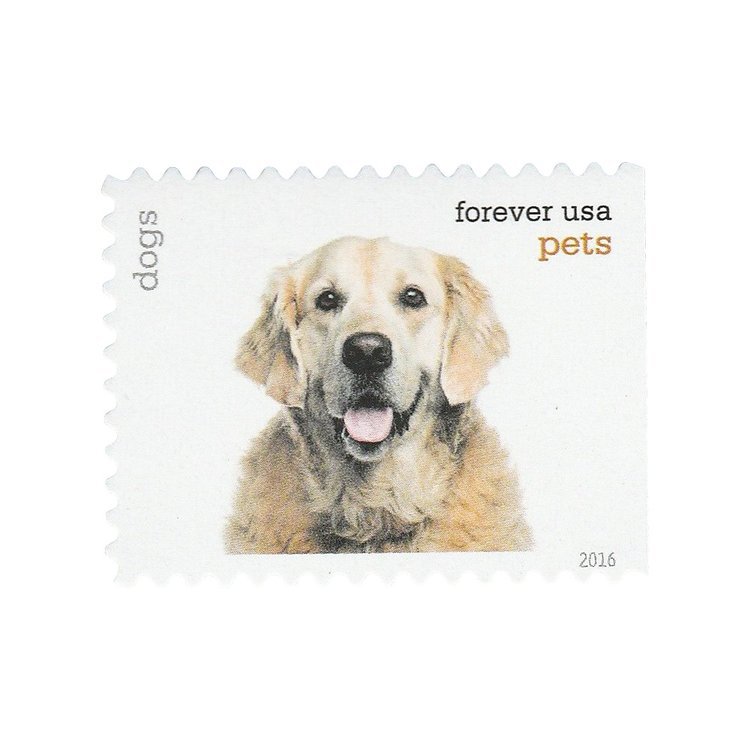 (2016) USPS Pets Stamps First-Class Mail Forever - Kestreli