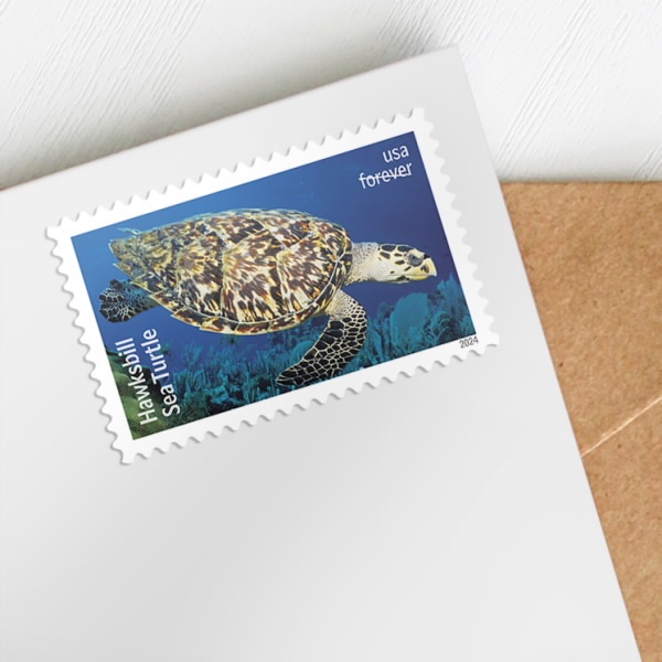 2024 Protect Sea Turtles Stamps - Kestreli
