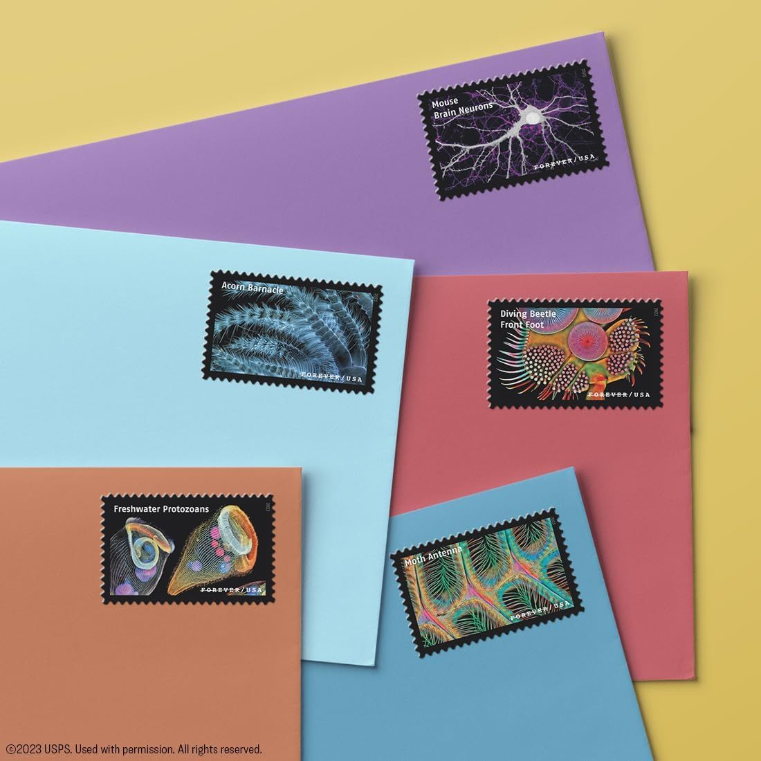 2023 Life Magnified Forever Postage Stamps Explores Life on Earth - Kestreli