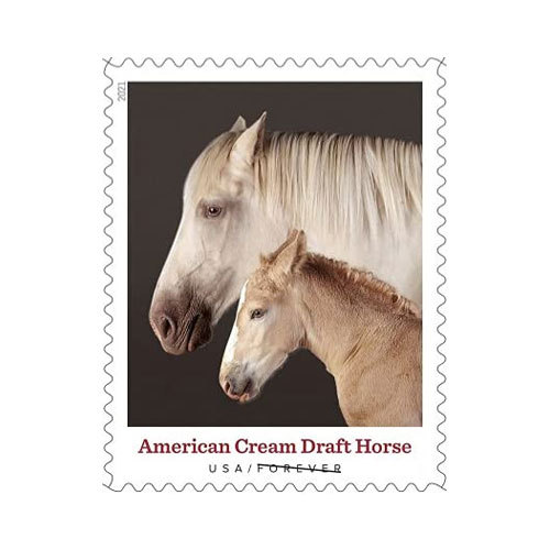 2021  US New Heritage Breeds Forever Postage Stamps - Kestreli