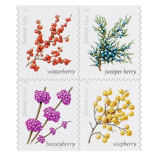 (2019) USPS Winter Berries First Class Forever Postage Stamps - Kestreli