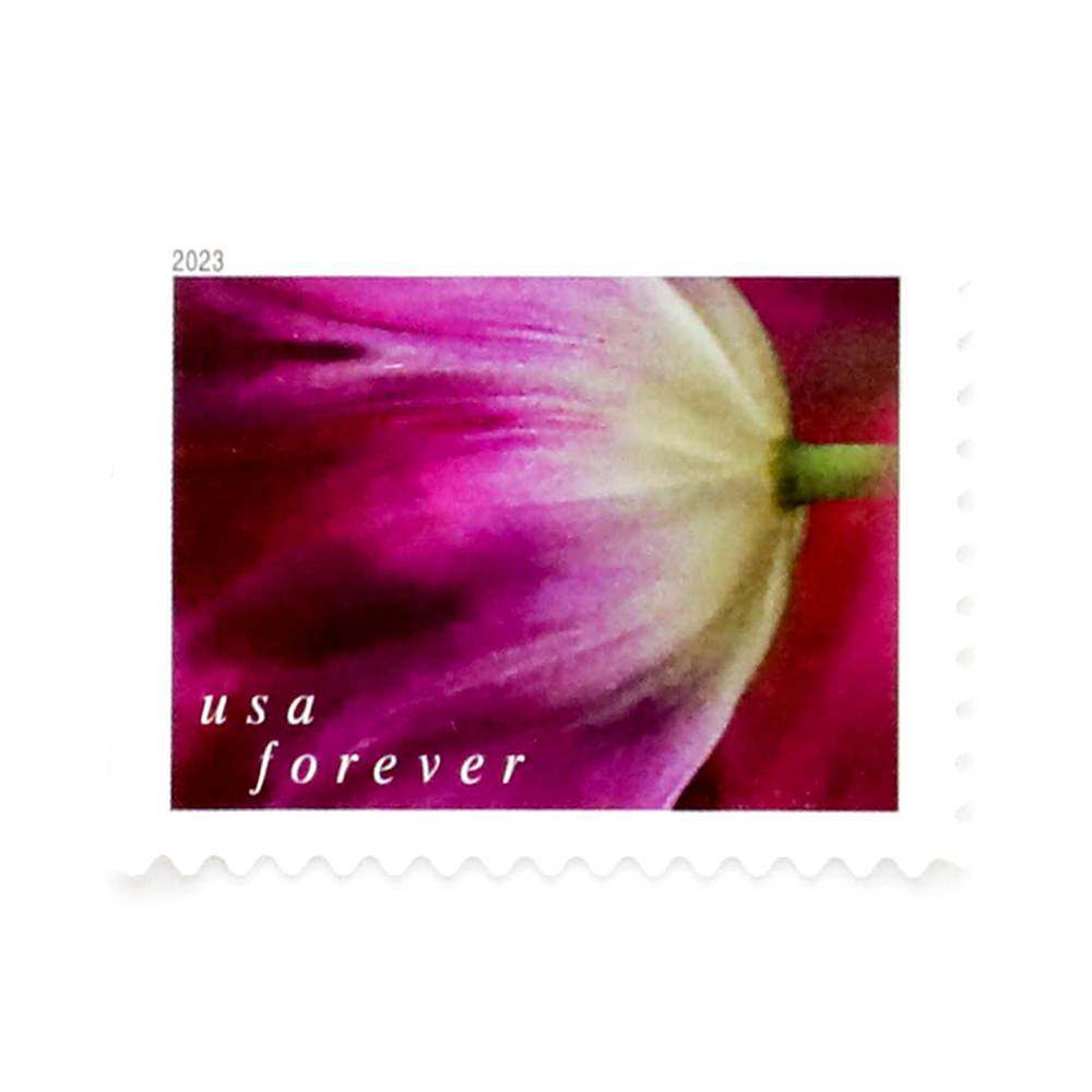 2023 US Tulip Blossoms First-Class Forever Stamps - Kestreli