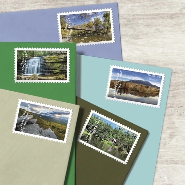 2024 Shaker Design Forever Stamps, Sheet of 12Forever 9.99c|Multiple Stamp Designs - Kestreli
