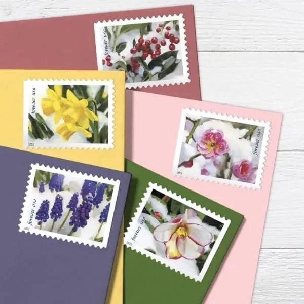 2022 USPS Snowy Garden Beauty Forever Postage Stamps - Kestreli
