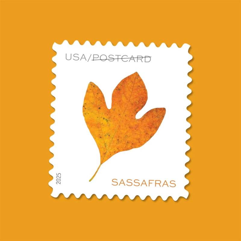 2025 Vibrant Leaves Postcard Stamps, Sheetof 20 Postcard |Multiple Stamp Designs and Formats - Kestreli