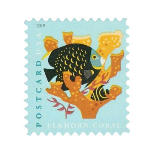 (2019) USPS Coral Reefs Postcard First Class Forever Postage Stamps - Kestreli