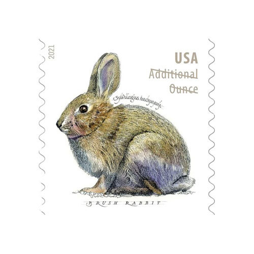 2021 Brush Rabbit Additional Ounce Forever Postage Stamps - Kestreli