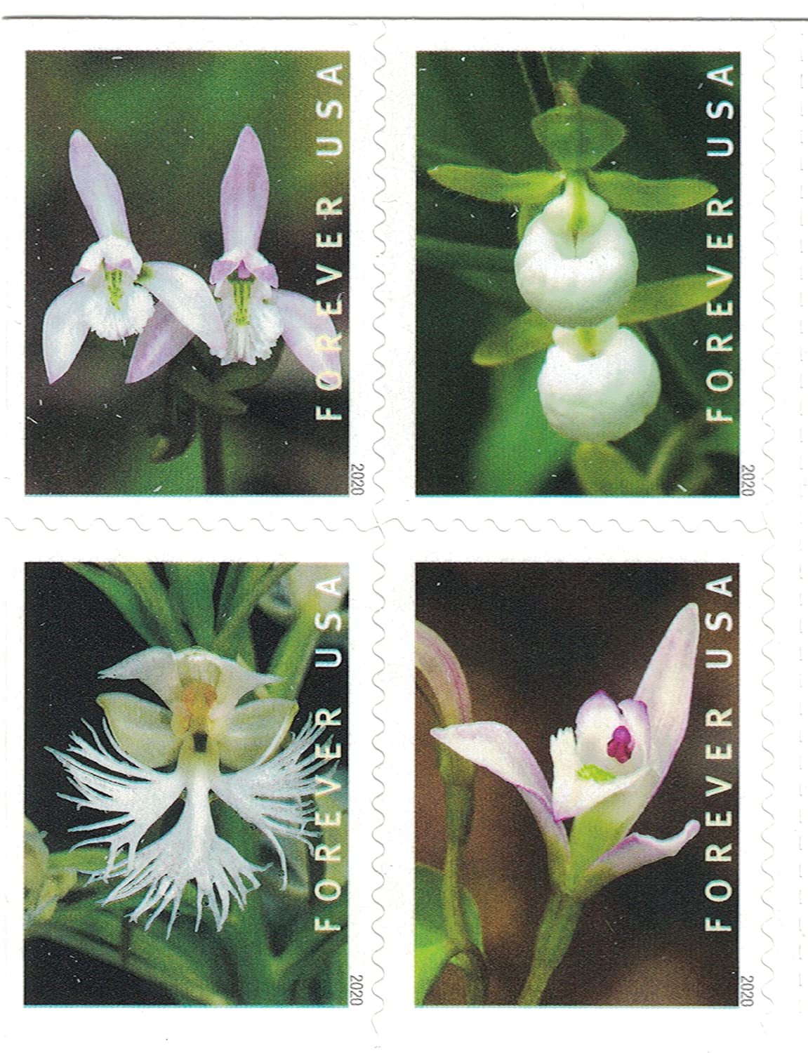 (2020) USPS Wild Orchids Forever Postage Stamps - Kestreli