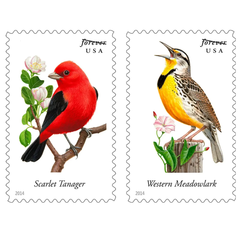2014 Songbirds Forever Stamps - Kestreli