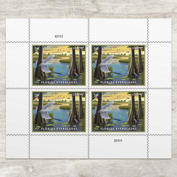 (2023) USA Florida Everglades Priority Mail Stamps - Kestreli