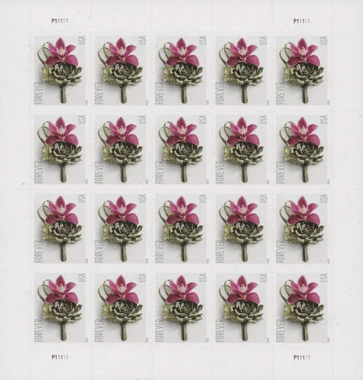 (2020) USPS Contemporary Boutonniere Forever Postage Stamps - Kestreli