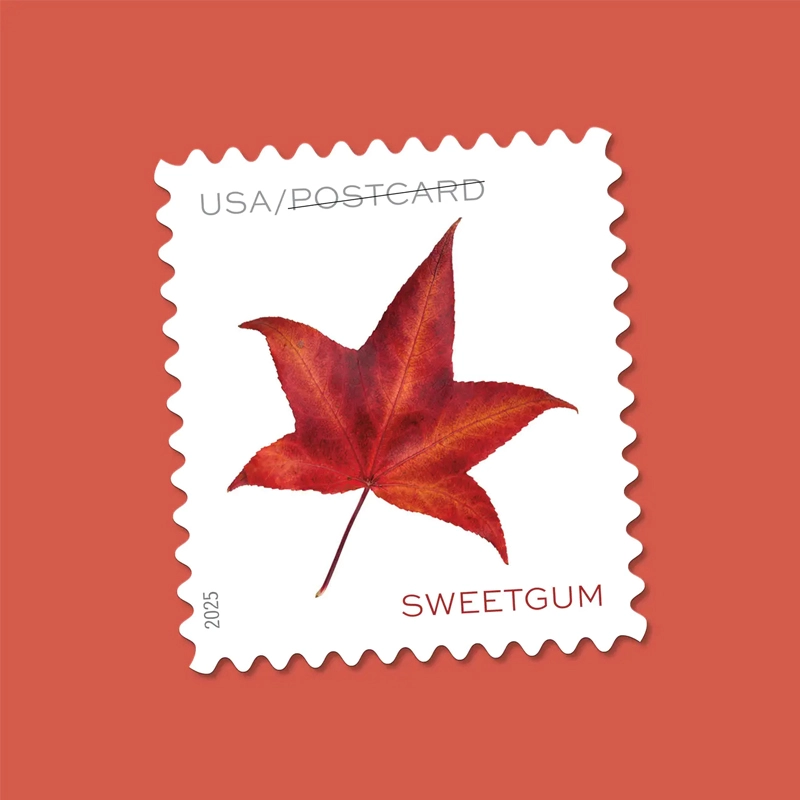 2025 Vibrant Leaves Postcard Stamps, 1 Roll of 100 Pcs Postcard |Multiple Stamp Designs andFormats - Kestreli