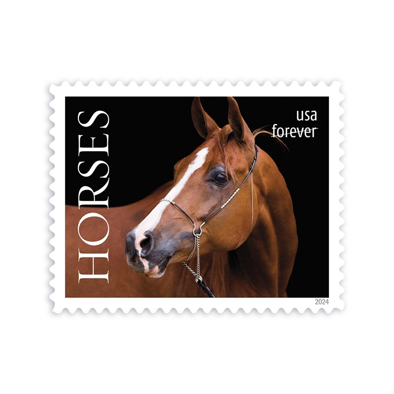 2024 Horses Stamps forever stamps - Kestreli