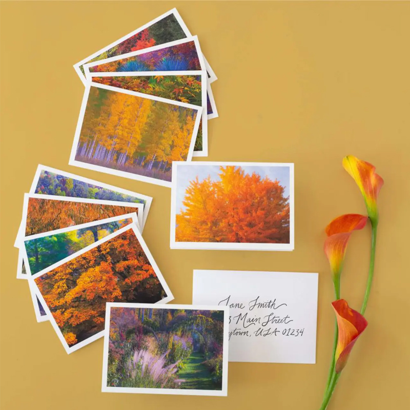 2024 forever stamps Autumn Colors - Kestreli