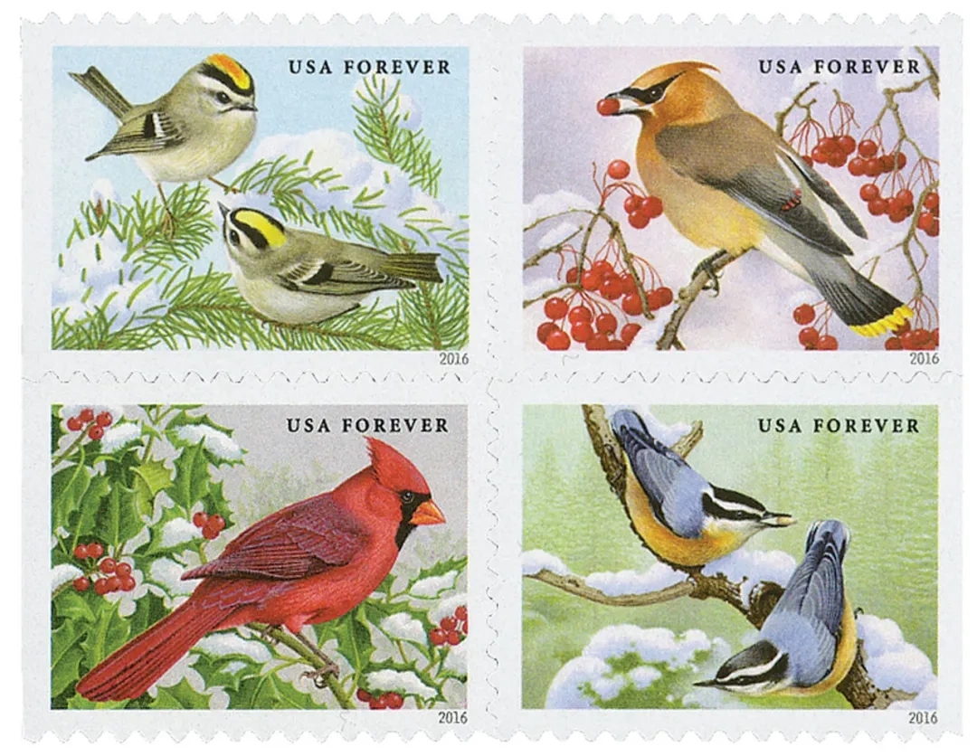 2016 USPS Songbirds in Snow Forever First Class Postage Stamps - Kestreli