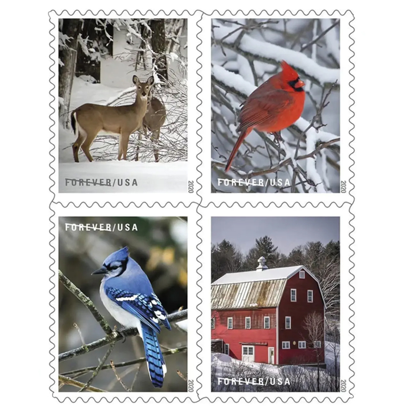 (2020) USPS Winter Scenes First Class Forever Postage Stamps - Kestreli